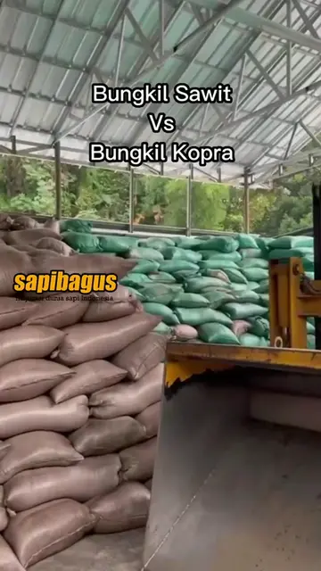 Bungkil-Sawit-vs-Bungkil-Kopra
